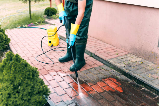Animal Enclosure Cleaning in Inez, TX