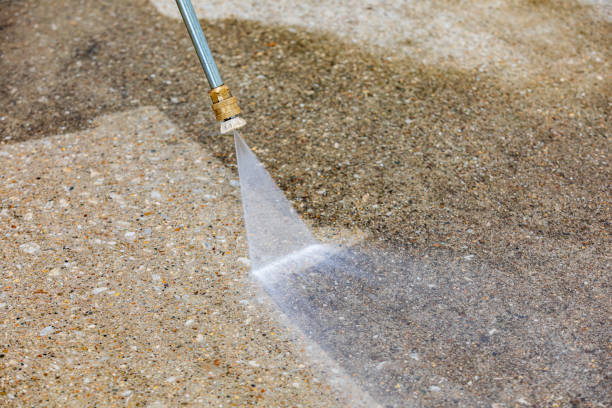 Best Driveway Pressure Washing  in Inez, TX