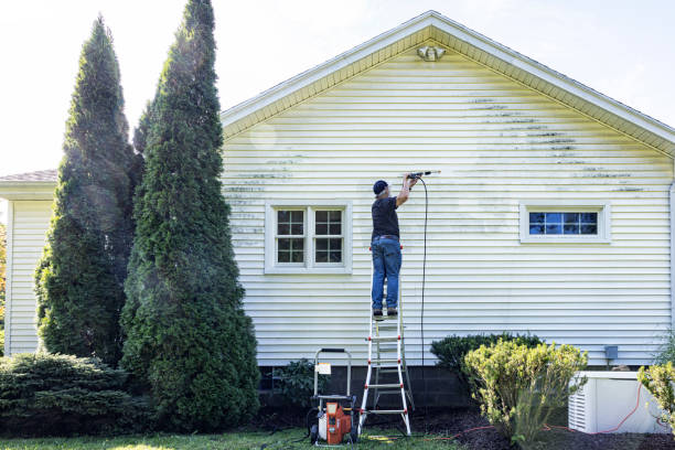 Best Patio and Deck Pressure Washing  in Inez, TX